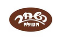 השחר העולה